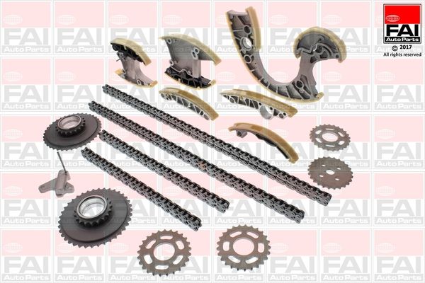 FAI AUTOPARTS Jakoketjusarja TCK220NG